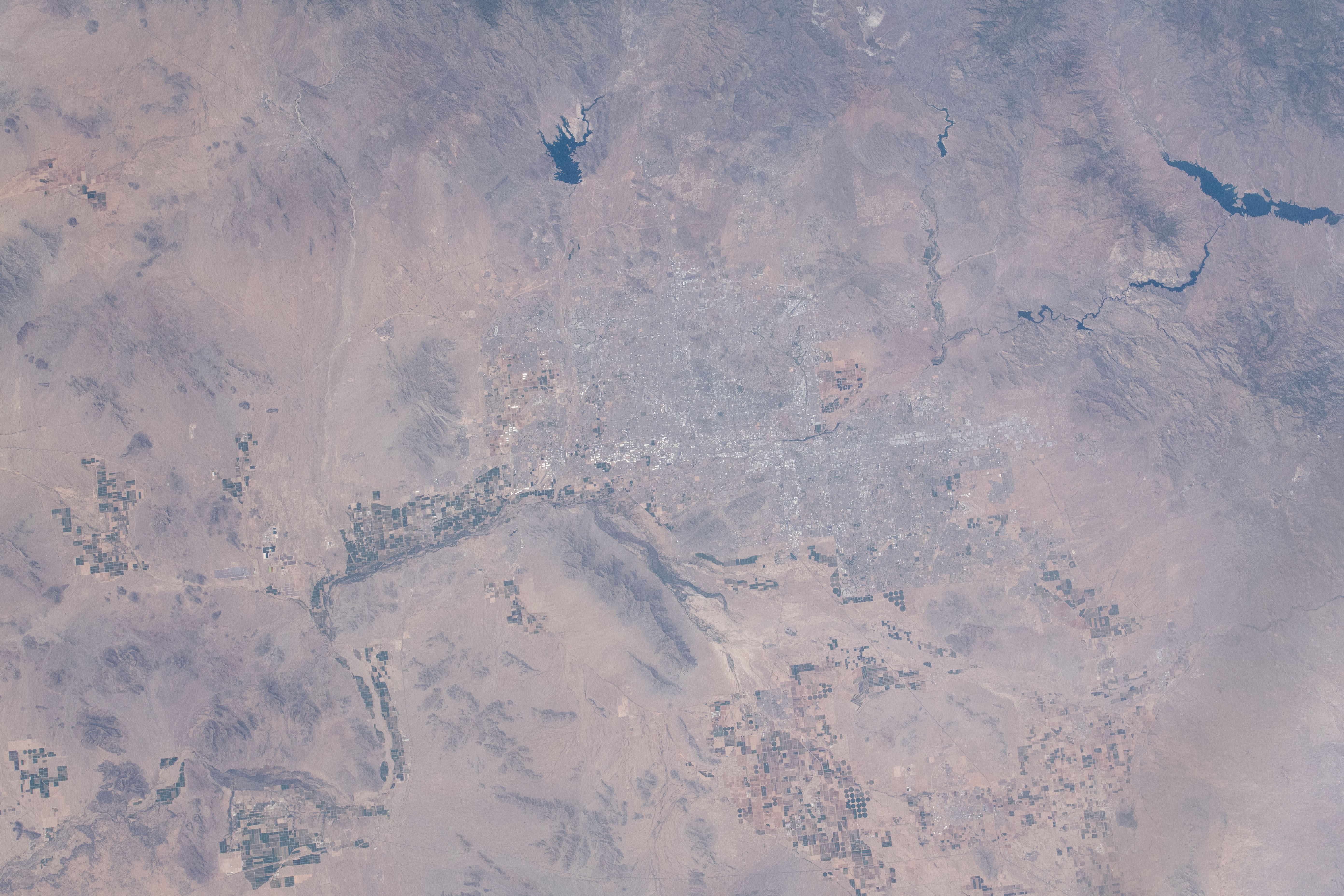 Rincon Valley, AZ service area for Rodent Control